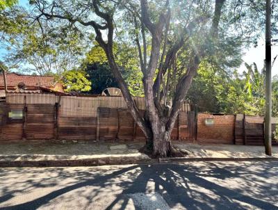 Terreno para Venda, em Lins, bairro Jardim So Roque