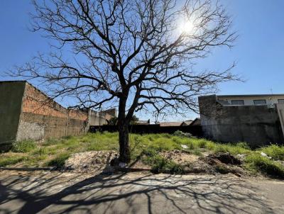 Terreno para Venda, em Lins, bairro Santa Lcia