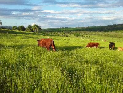 rea Rural para Venda, em Chuvisca, bairro Interior