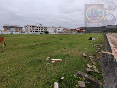 Terreno para Venda, em Florianpolis, bairro Ingleses do Rio Vermelho