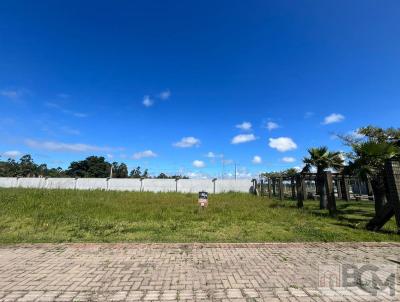 Terreno para Venda, em Osrio, bairro Bosques do Albatroz