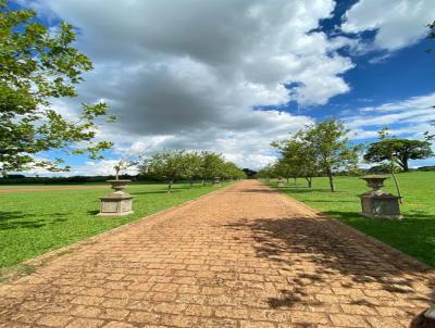 Terreno para Venda, em Indaiatuba, bairro Parque Aristocrtico Viracopos