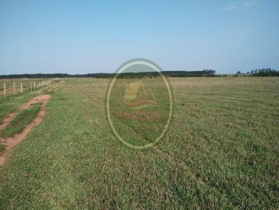 Fazenda para Venda, em Navira, bairro .