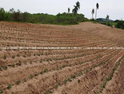 rea Rural para Venda, em Mariana Pimentel, bairro Linha Saint Brisson