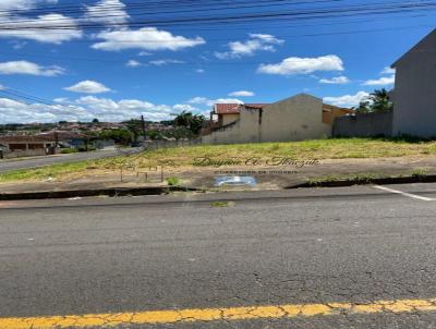 Terreno para Locao, em Telmaco Borba, bairro Centro