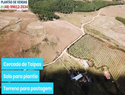 Terreno para Venda, em Bom Jardim da Serra, bairro Santa Barbara