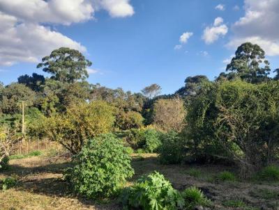 Lote para Venda, em , bairro Glaura - Centro