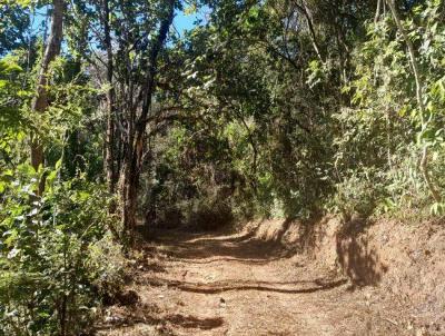 Terreno para Venda, em , bairro Soares - rea Rural