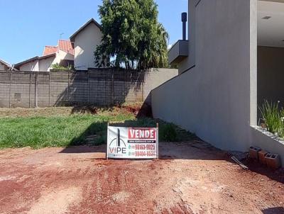 Terreno para Venda, em Paulnia, bairro Parque Brasil 500