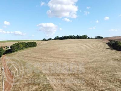 rea Rural para Venda, em Campo Novo, bairro interior