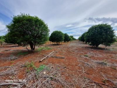 Stio para Venda, em Santo Antnio do Leverger, bairro Zona rural