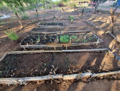 Stio para Venda, em Santo Antnio do Leverger, bairro Agrovila das palmeiras