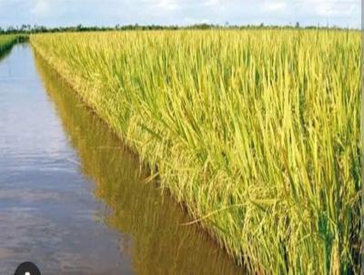 rea Rural para Venda, em Quara, bairro 