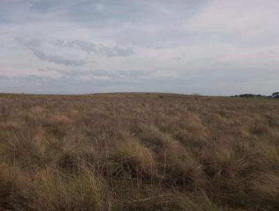 rea Rural para Venda, em Quara, bairro INTERIOR