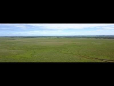 rea Rural para Venda, em Quara, bairro INTERIOR