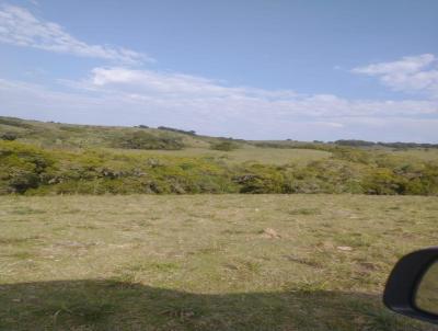 rea Rural para Venda, em Santana da Boa Vista, bairro INTERIOR