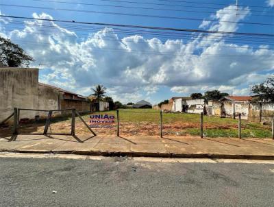 Terreno para Venda, em Lins, bairro Rebouas