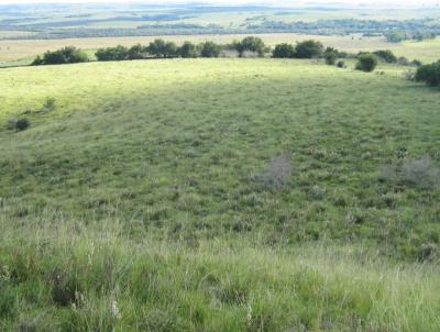 rea Rural para Venda, em Santana do Livramento, bairro INTERIOR