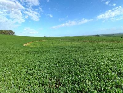 rea Rural para Venda, em Cachoeira do Sul, bairro INTERIOR