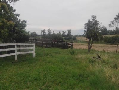 rea Rural para Venda, em Jlio de Castilhos, bairro INTERIOR