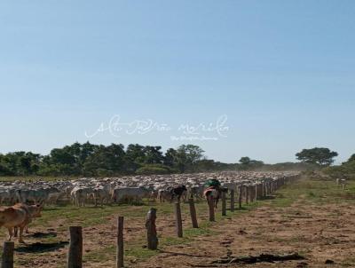 Fazenda para Venda, em Coxim, bairro Rural