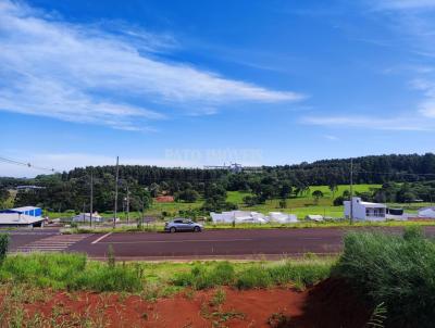 Terreno para Venda, em Pato Branco, bairro So Francisco