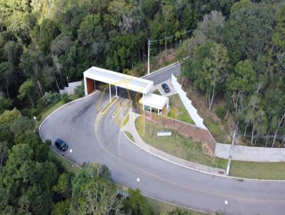 Terreno para Venda, em Bento Gonalves, bairro SANTO ANTO