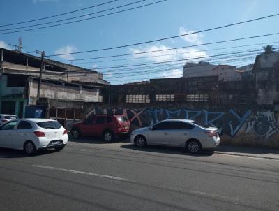 Terreno para Venda, em Salvador, bairro Baixa de Quintas