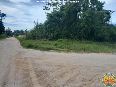 Terreno para Venda, em Caraguatatuba, bairro MASSAGUAU