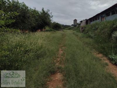 Stio para Venda, em Tuiuti, bairro ., 4 dormitrios, 2 banheiros