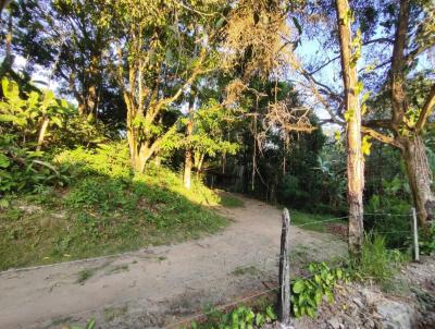 Stio para Venda, em Barra Mansa, bairro Vila Principal, 2 dormitrios, 1 banheiro, 4 vagas