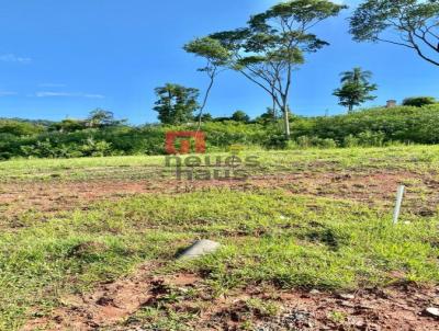 Terreno para Venda, em Santa Cruz do Sul, bairro RENASCENA