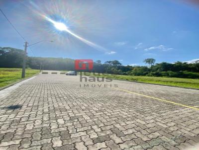 Terreno para Venda, em Santa Cruz do Sul, bairro RENASCENA