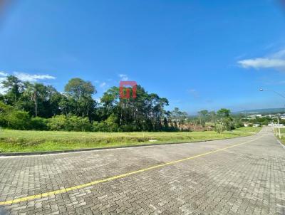 Terreno para Venda, em Santa Cruz do Sul, bairro RENASCENA