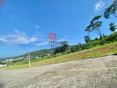 Terreno para Venda, em Santa Cruz do Sul, bairro RENASCENA