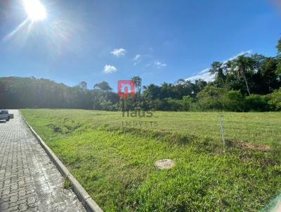 Terreno para Venda, em Santa Cruz do Sul, bairro RENASCENA