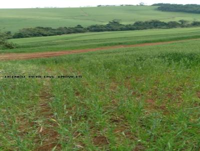 Terreno Rural para Venda, em Rolndia, bairro 