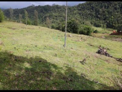 Stio para Venda, em Lauro Muller, bairro Km01