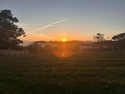 Lote para Venda, em Terespolis, bairro Fazenda Suia