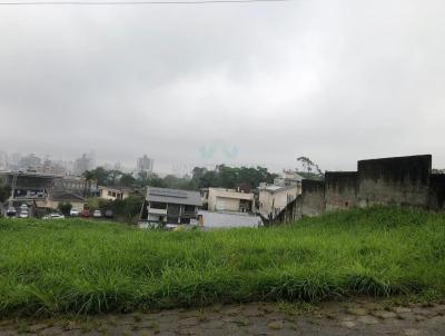 Terreno para Venda, em Cricima, bairro Mina Brasil