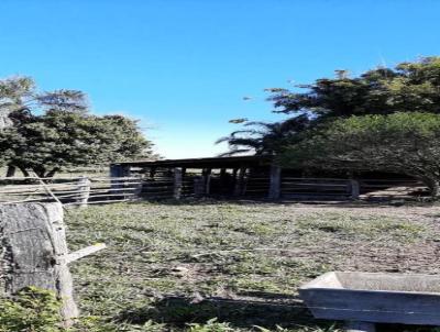 Terreno para Venda, em Iara, bairro Rio Acima