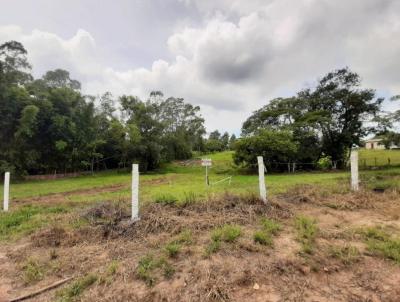 Terreno para Venda, em Morro da Fumaa, bairro Ana Maria