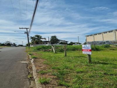 Terreno para Venda, em Iara, bairro Primeiro de Maio