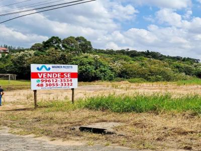 Terreno para Venda, em Iara, bairro Liri