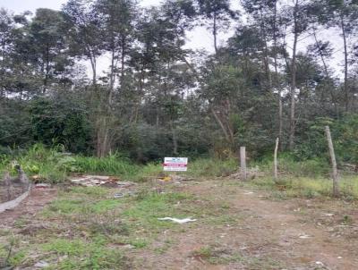 Terreno para Venda, em Iara, bairro Ana Eliza