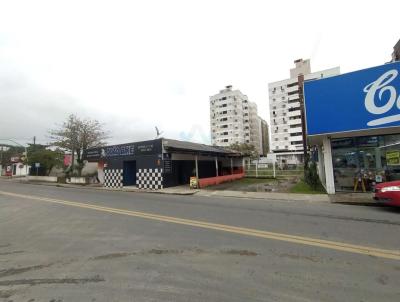 Terreno para Venda, em Iara, bairro Centro