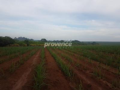 Fazenda para Venda, em Capivari, bairro Centro