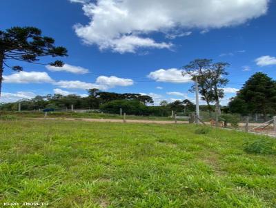 Terreno para Venda, em Piraquara, bairro COLONIA SANTA MARIA