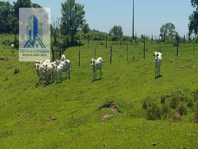 Terreno Comercial para Venda, em Guare, bairro Centro