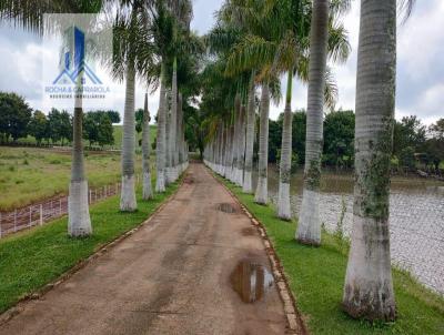 Terreno Comercial para Venda, em Itapetininga, bairro Centro, 2 dormitrios, 1 banheiro, 1 sute, 1 vaga